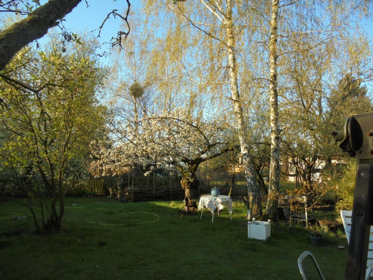 Hundefreundliches Zimmer Wustermark Exterior foto